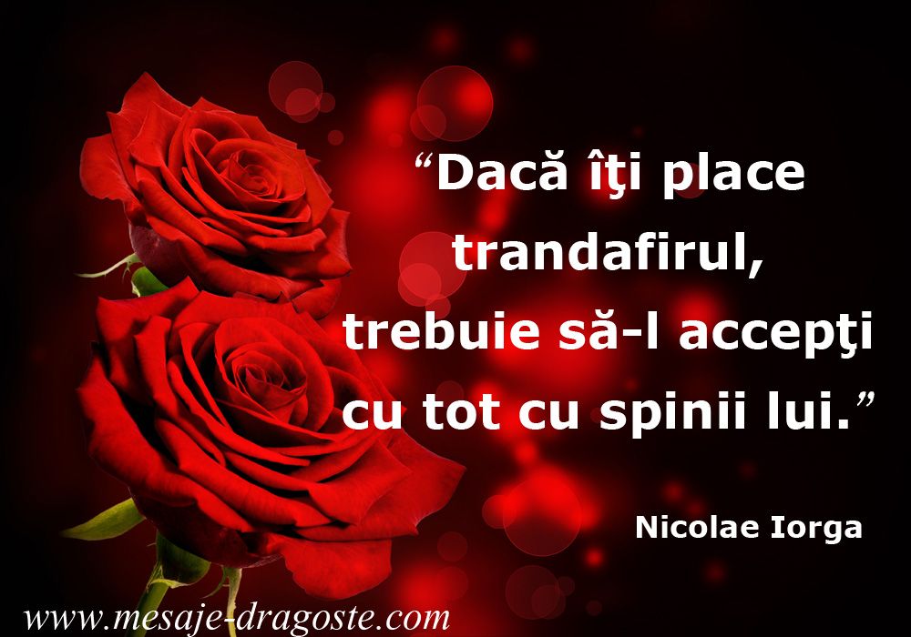 Poze Cu Mesaje De Iubire Pentru Ea