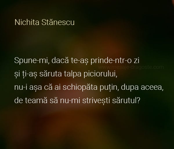 poezie dragoste nichita stanescu