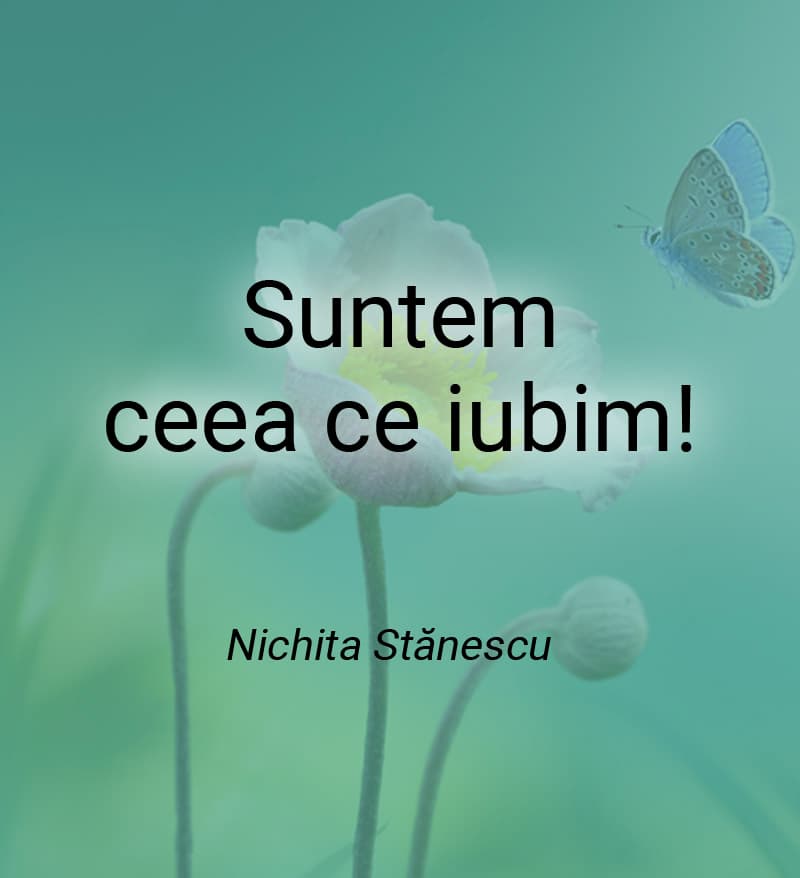 suntem ceea ce iubim