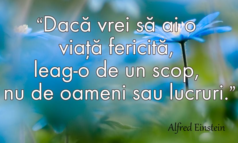 Citate despre fericire