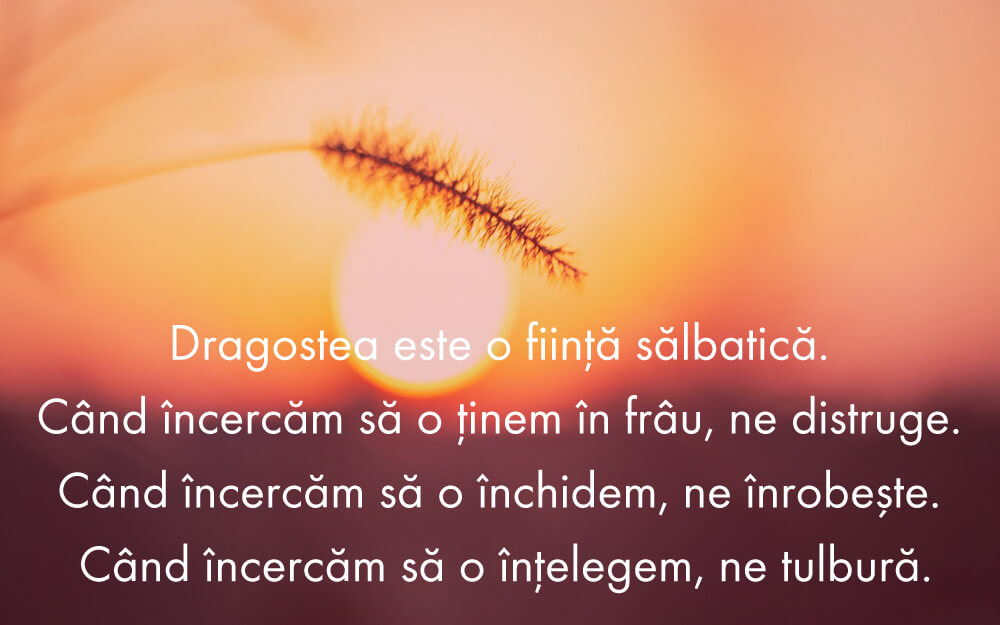 dragostea este o fiinta salbatica