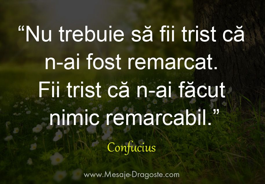 confucius nu fii trist citate