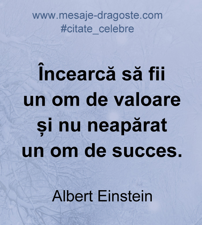 citate om de succes