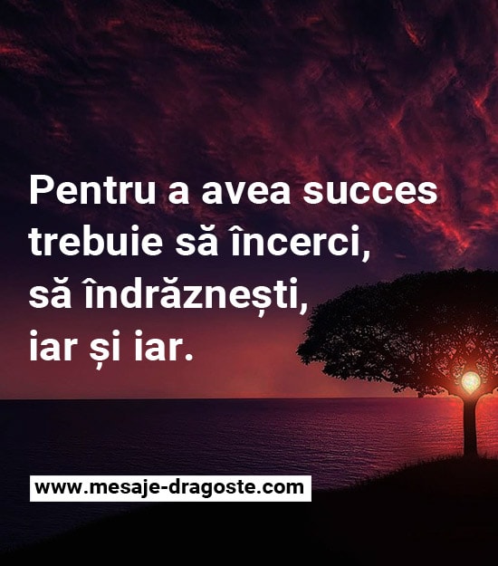 status incearca indrazneste succes