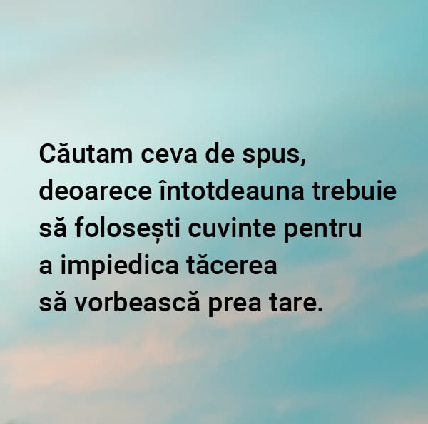 Cuvinte despre tacere