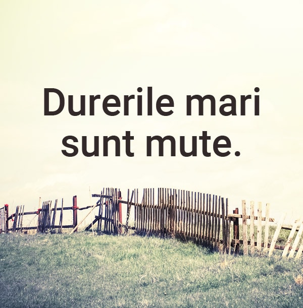 durerile mari sunt mute